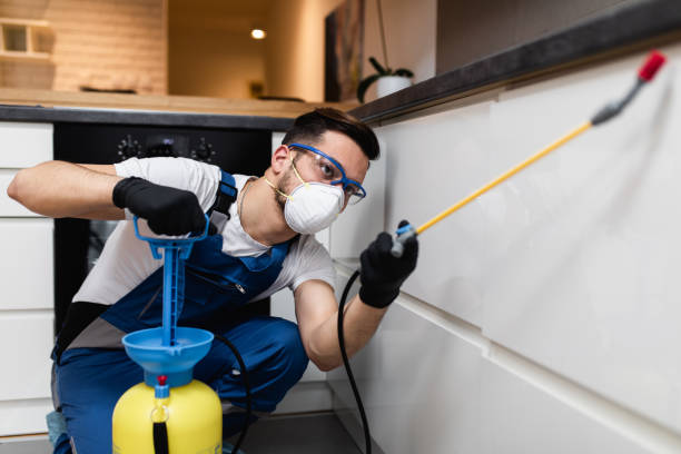Best Rat Extermination Near Me  in Eastport, NY