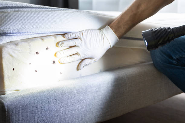 Best Best Pest Control Companies  in Eastport, NY
